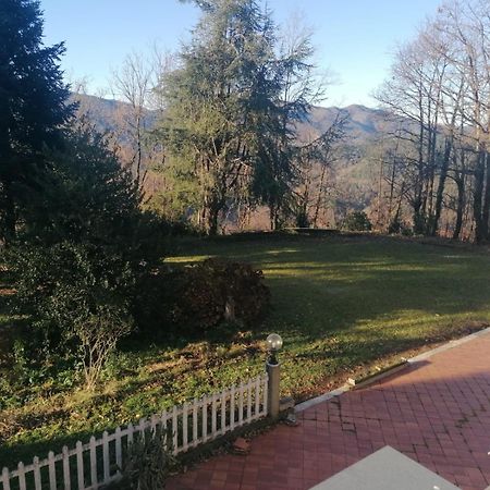 Вилла Le Camelie Polverara Экстерьер фото